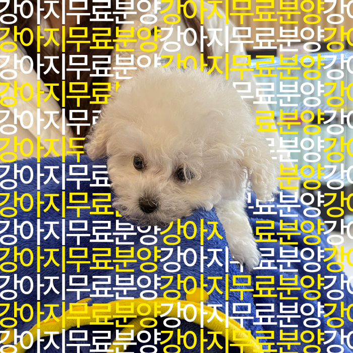d1eb448fb0a55f31bbbec8601a4fbe19_1739426811_3075.jpg