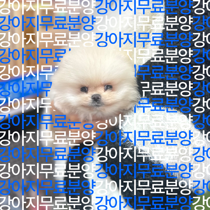 d1eb448fb0a55f31bbbec8601a4fbe19_1739427593_9599.jpg