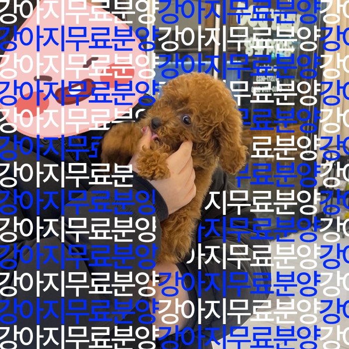 d1eb448fb0a55f31bbbec8601a4fbe19_1739427991_4478.jpg