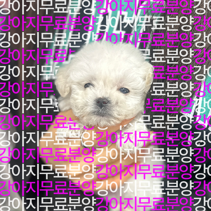 767377b53ec543996a87f407385136d6_1743997441_5509.jpg