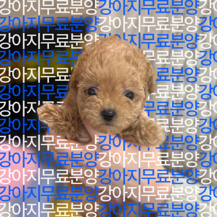 767377b53ec543996a87f407385136d6_1744000334_5306.jpg
